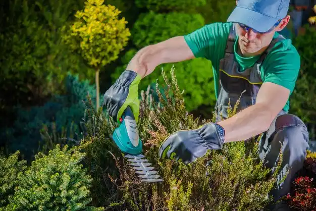 landscaping services Flora